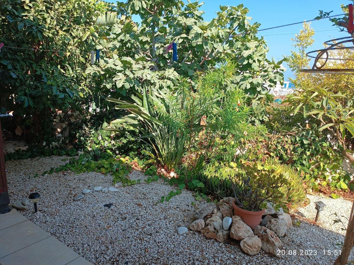 Ferienhaus_Familykrausz Bahçalar Dış mekan fotoğraf