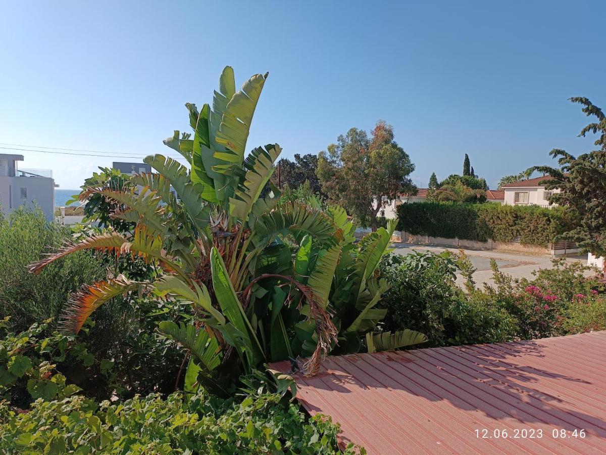 Ferienhaus_Familykrausz Bahçalar Dış mekan fotoğraf